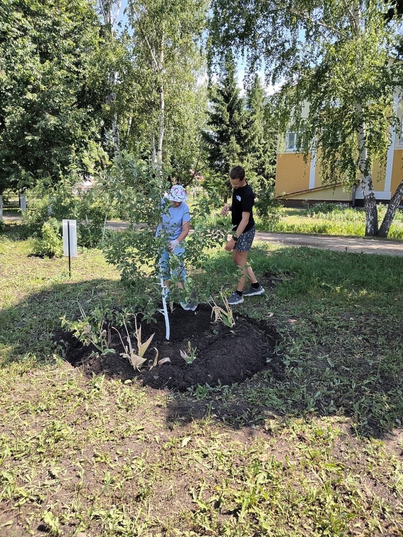 Ребята из пришкольного лагеря труда и отдыха ухаживают за школьным &amp;quot;Садом Памяти&amp;quot;. Каждое дерево – символ памяти и благодарности мирных поколений.